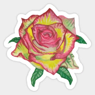 Pink yellow rose with green leaves Sticker